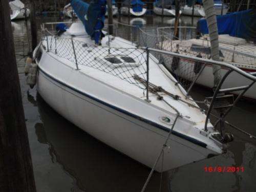 Vendo Velero Alpha 25